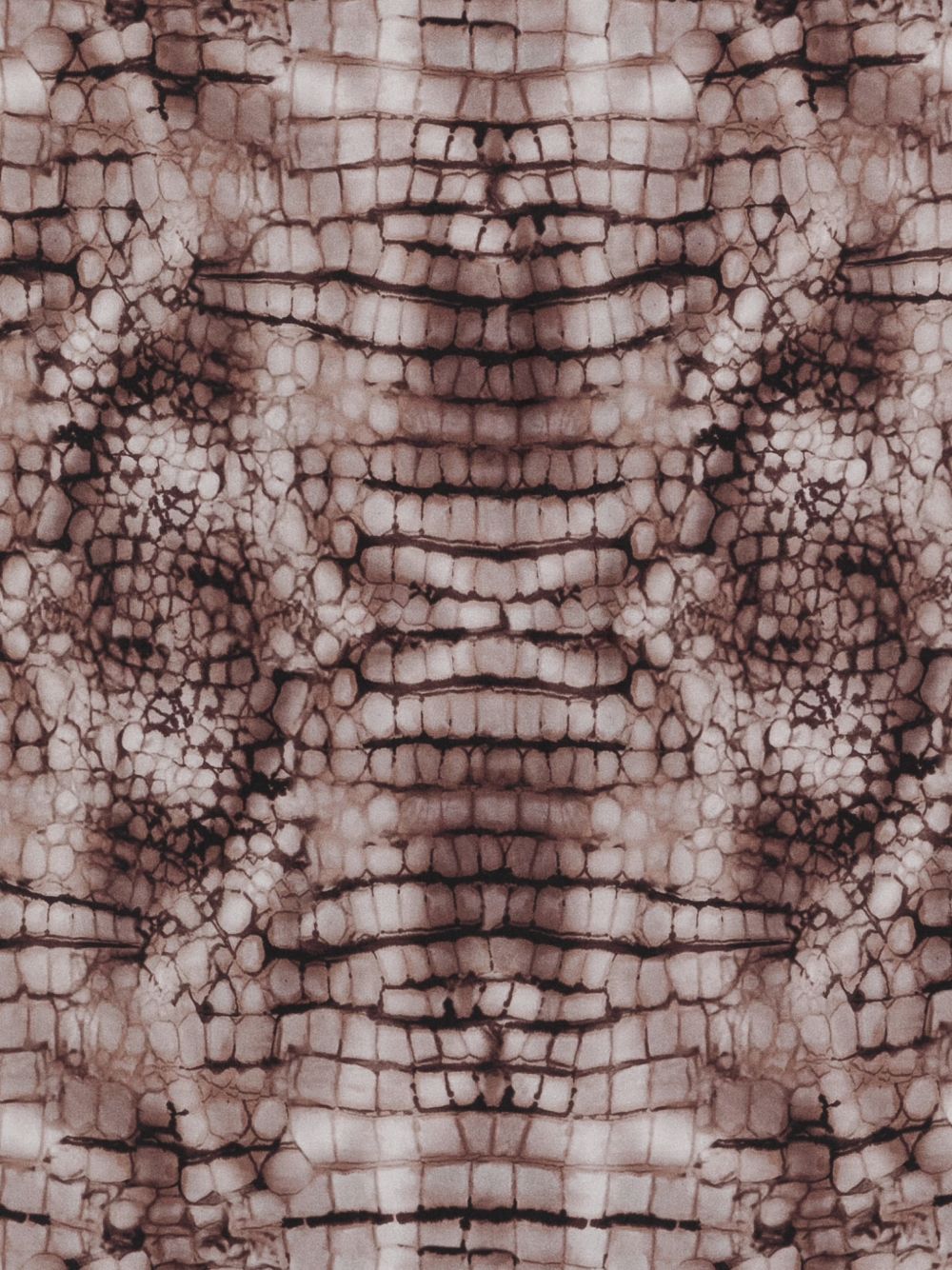 ELISABETTA FRANCHI Foulard quadrato in seta marrone con stampa coccodrillo